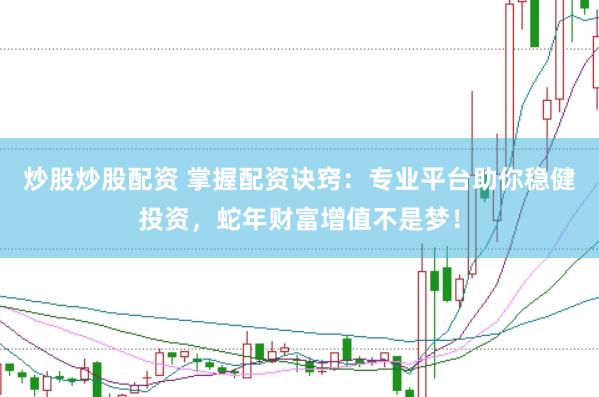 炒股炒股配资 掌握配资诀窍：专业平台助你稳健投资，蛇年财富增值不是梦！
