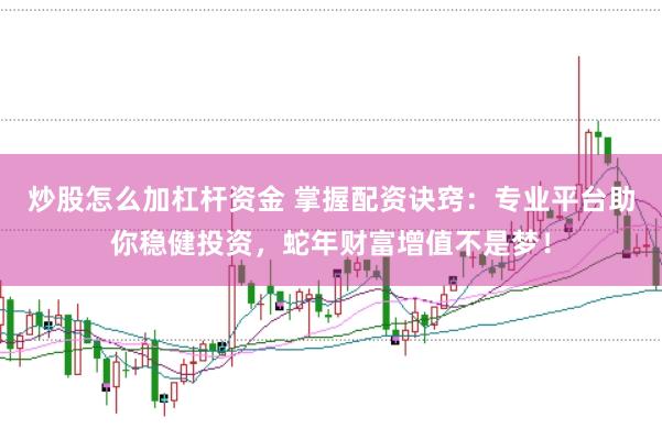 炒股怎么加杠杆资金 掌握配资诀窍：专业平台助你稳健投资，蛇年财富增值不是梦！