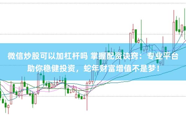 微信炒股可以加杠杆吗 掌握配资诀窍：专业平台助你稳健投资，蛇年财富增值不是梦！