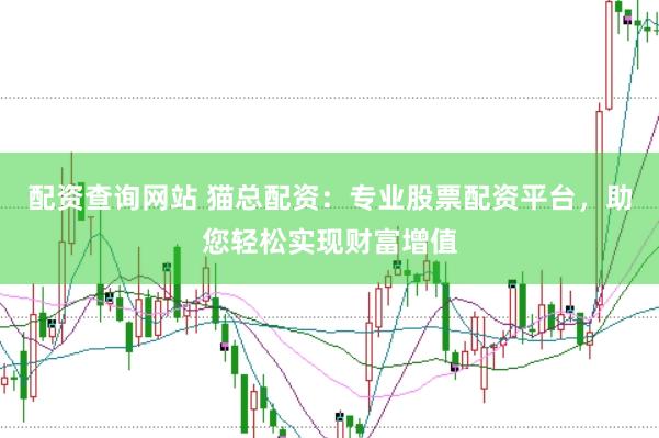 配资查询网站 猫总配资：专业股票配资平台，助您轻松实现财富增值