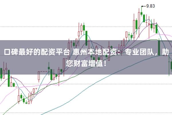 口碑最好的配资平台 惠州本地配资：专业团队，助您财富增值！