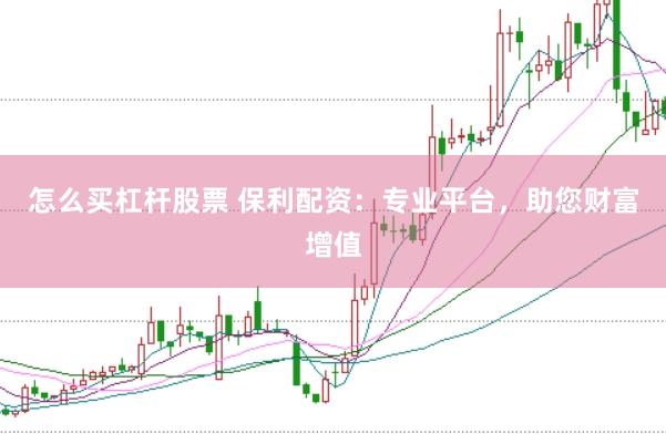 怎么买杠杆股票 保利配资：专业平台，助您财富增值