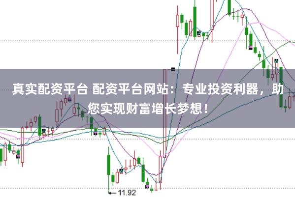 真实配资平台 配资平台网站：专业投资利器，助您实现财富增长梦想！