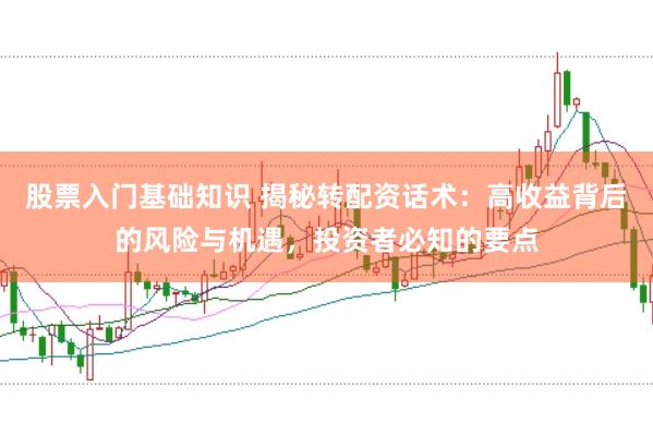 股票入门基础知识 揭秘转配资话术：高收益背后的风险与机遇，投资者必知的要点