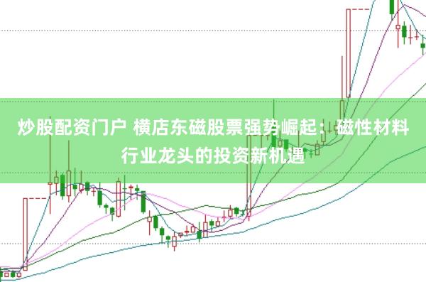 炒股配资门户 横店东磁股票强势崛起：磁性材料行业龙头的投资新机遇