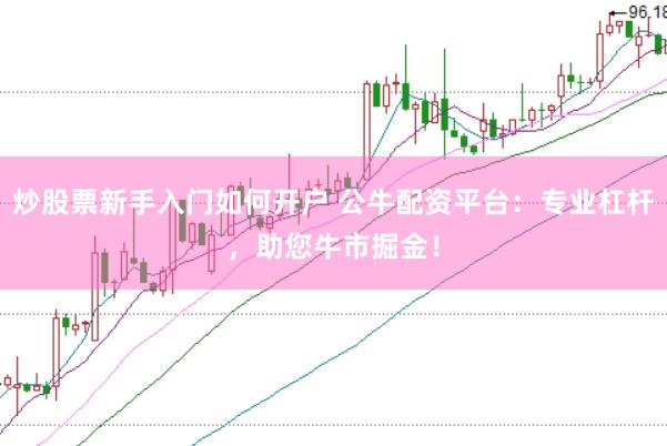 炒股票新手入门如何开户 公牛配资平台：专业杠杆，助您牛市掘金！