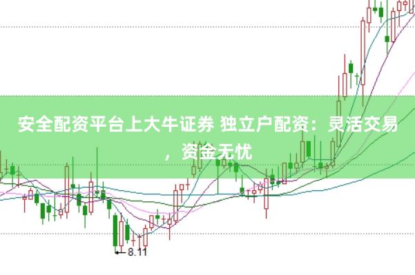 安全配资平台上大牛证券 独立户配资：灵活交易，资金无忧