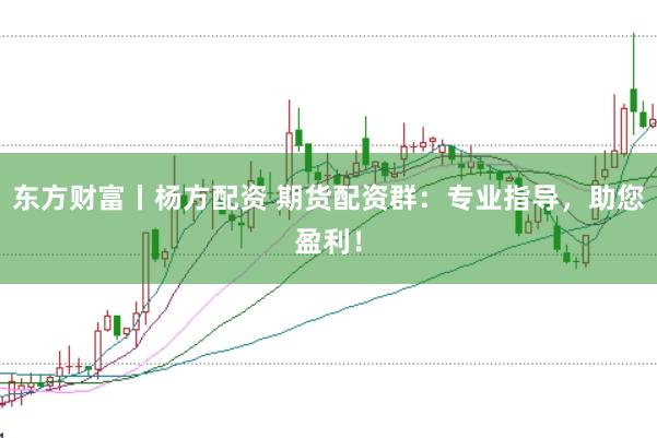 东方财富丨杨方配资 期货配资群：专业指导，助您盈利！