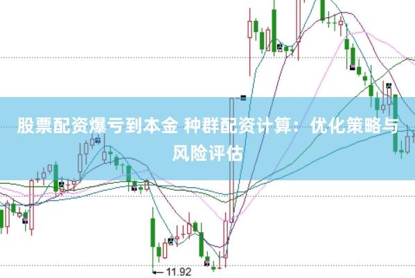 股票配资爆亏到本金 种群配资计算：优化策略与风险评估