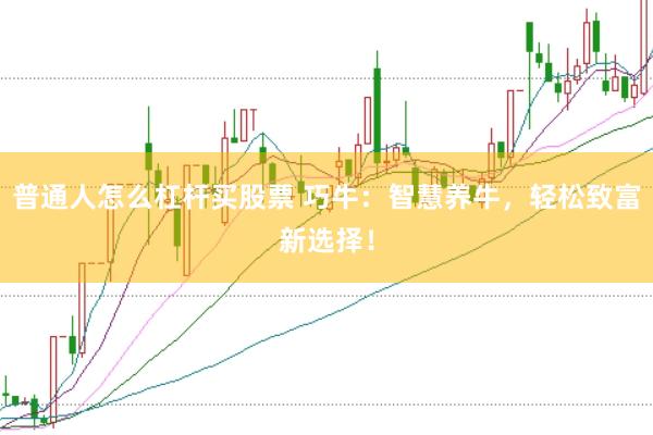 普通人怎么杠杆买股票 巧牛：智慧养牛，轻松致富新选择！