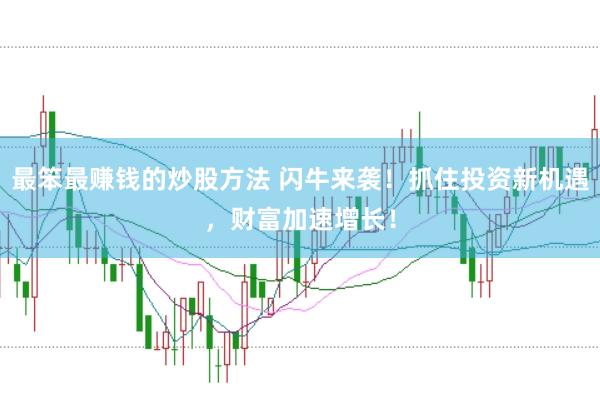 最笨最赚钱的炒股方法 闪牛来袭！抓住投资新机遇，财富加速增长！