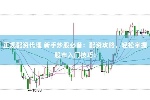 正规配资代理 新手炒股必备：配资攻略，轻松掌握股市入门技巧！