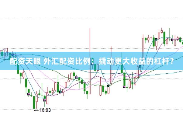 配资天眼 外汇配资比例：撬动更大收益的杠杆？