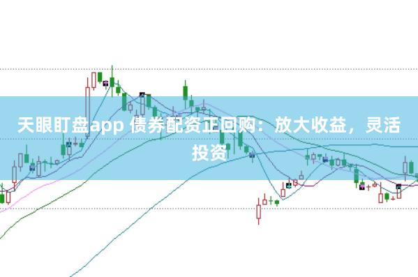 天眼盯盘app 债券配资正回购：放大收益，灵活投资