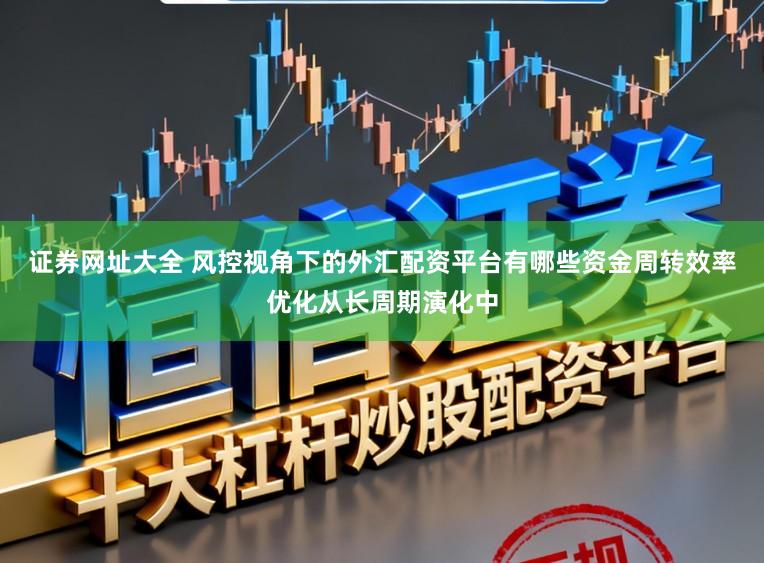 证券网址大全 风控视角下的外汇配资平台有哪些资金周转效率优化从长周期演化中